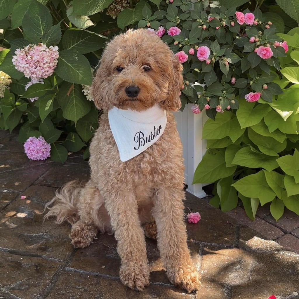 Custom Dog Bandana with Name – Adjustable Straps, Personalized Pet Accessory