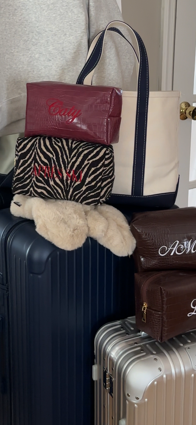 Embroidered Zebra Print Cosmetic Bag: Personalized Makeup Bag