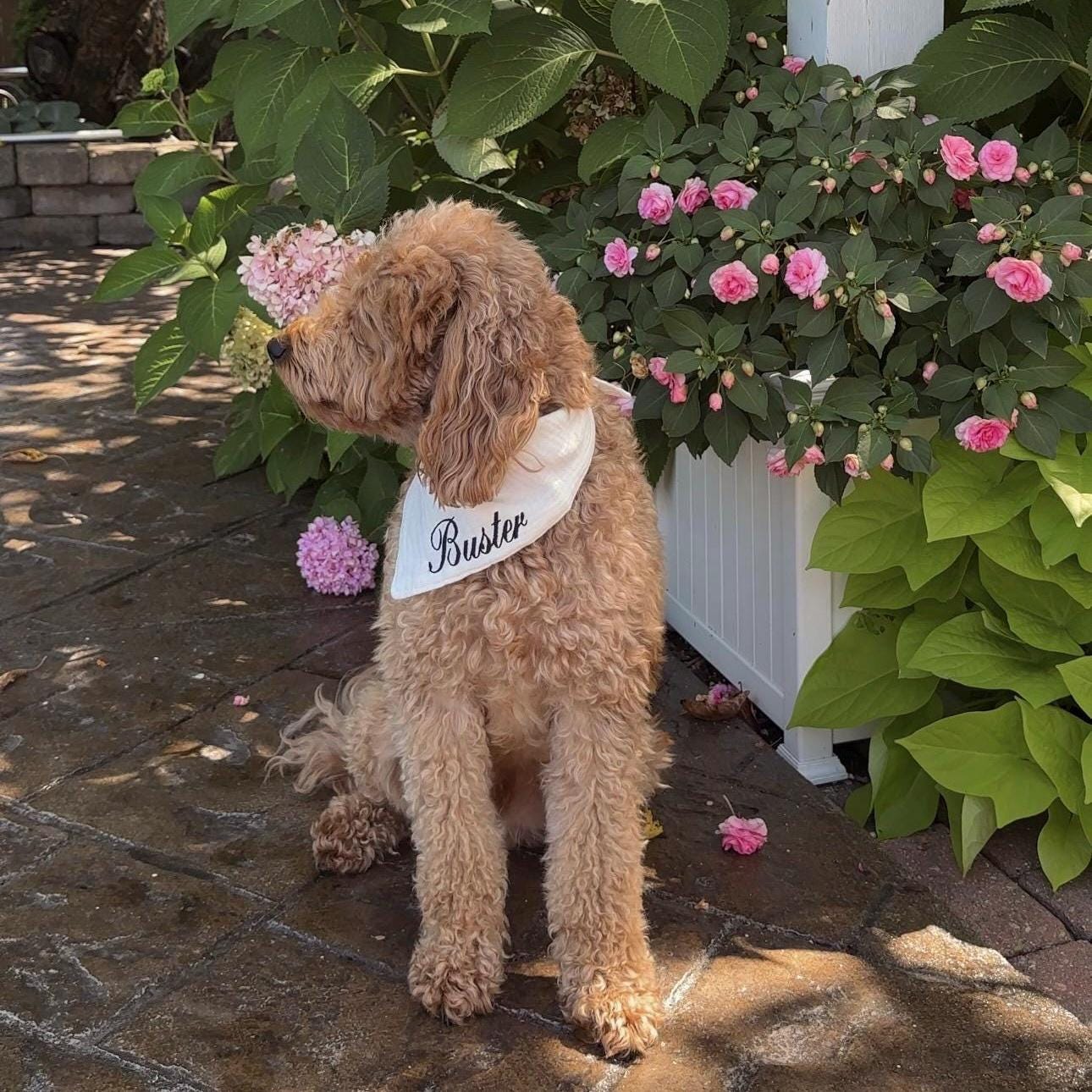 Custom Dog Bandana with Name – Adjustable Straps, Personalized Pet Accessory