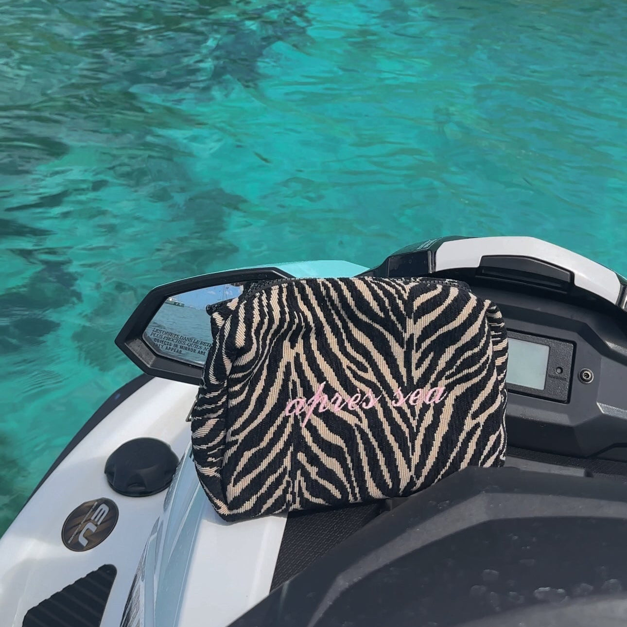 Embroidered Zebra Print Cosmetic Bag