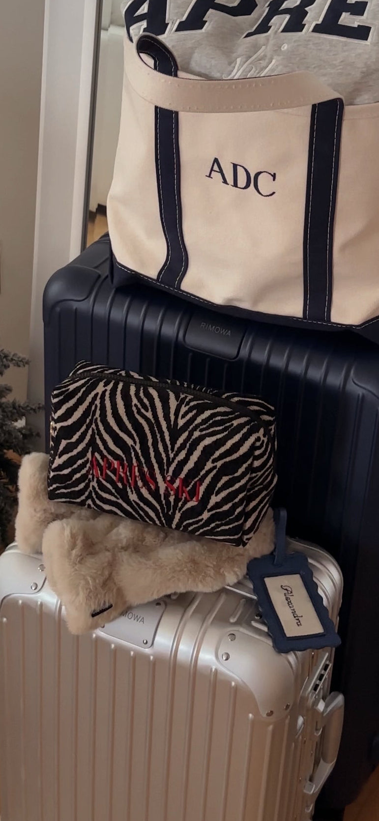 Embroidered Zebra Print Cosmetic Bag: Personalized Makeup Bag